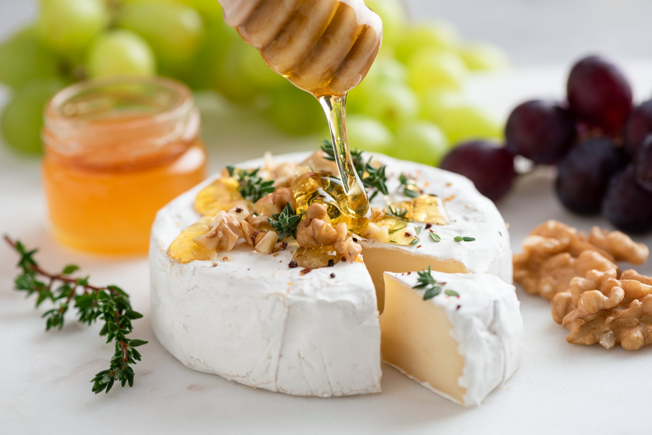 Queijo tipo Camembert